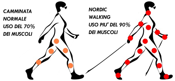Immagine Dei Benefici Del Nordic Walking