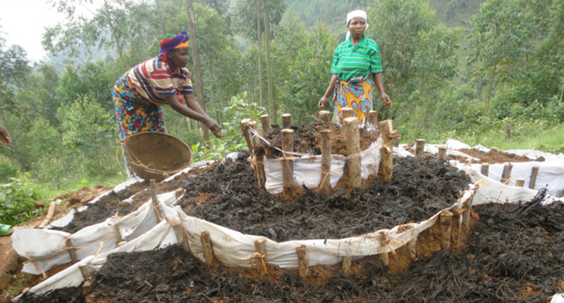 Burundi Donne in Agricoltura