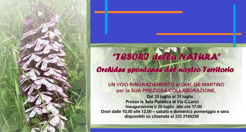 Mostra orchidee