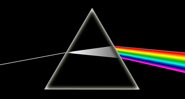 Logo The Dark Side Of The Moon