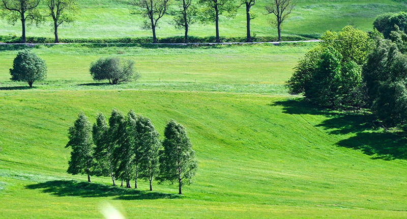 Parco verde