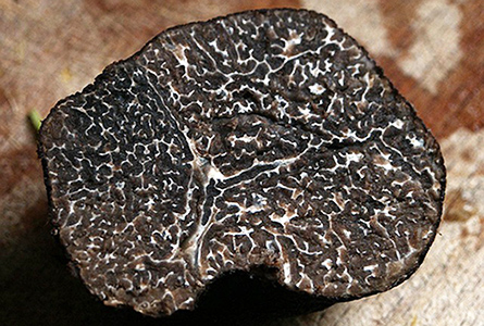 Tartufo Di Inverno