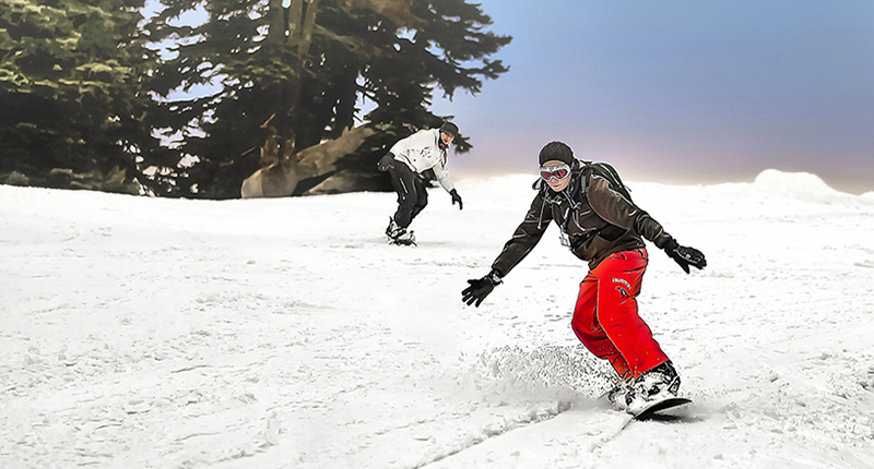 Snowboard Paralimpico