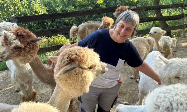 La Casetta Di Laura  Gelli