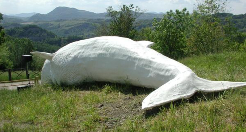 Riproduzione della Balena della Val di Zena