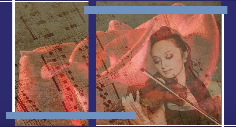 Violinista