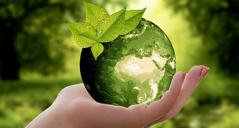 Sostenibilità Natura Green
