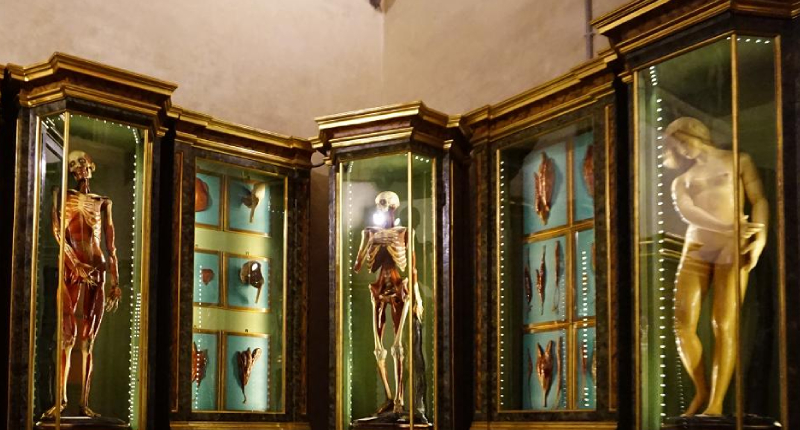 Collezioni Palazzo Poggi