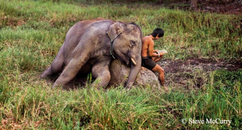 Foto Steve McCurry