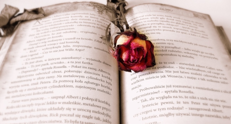 Libro Aperto con una Rosa