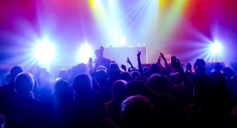 Pubblico al concerto