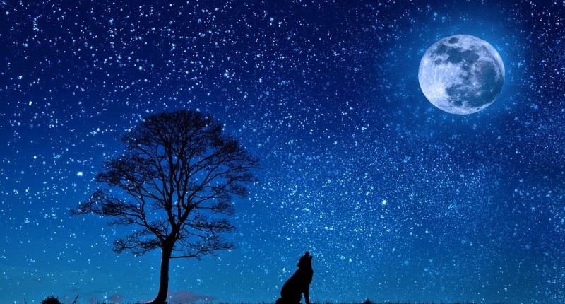 Cielo Stellato E Luna Piena