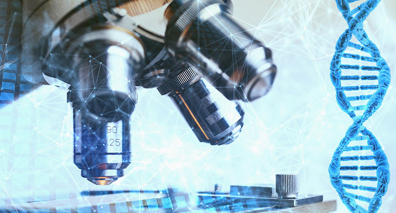 Ricerca al microscopio